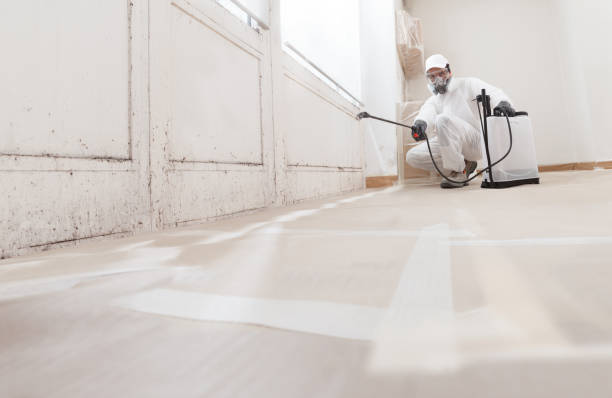 24/7 Emergency Basement Mold Removal experts in Siler City, NC